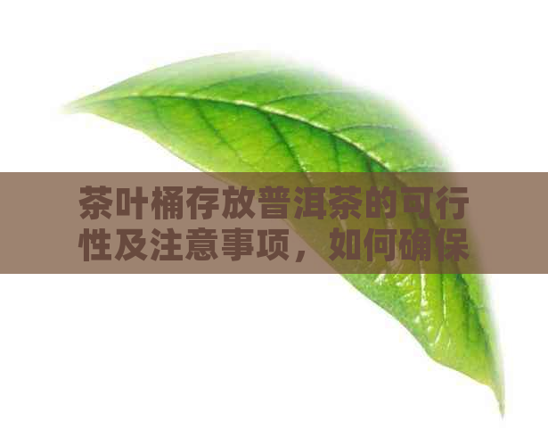 茶叶桶存放普洱茶的可行性及注意事项，如何确保普洱茶品质？