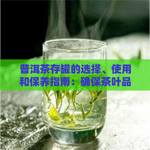 普洱茶存罐的选择、使用和保养指南：确保茶叶品质和保存效果的关键因素