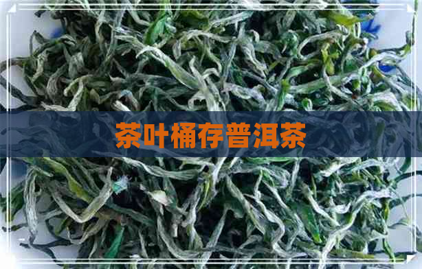 茶叶桶存普洱茶