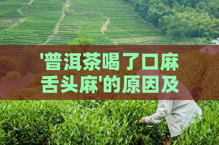 '普洱茶喝了口麻舌头麻'的原因及正常性 - 探究普洱茶的独特口感现象