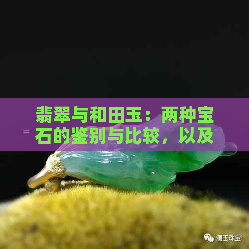 翡翠与和田玉：两种宝石的鉴别与比较，以及它们在珠宝领域的应用与收藏价值