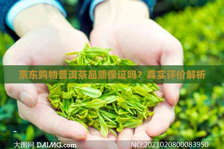 京东购物普洱茶品质保证吗？真实评价解析