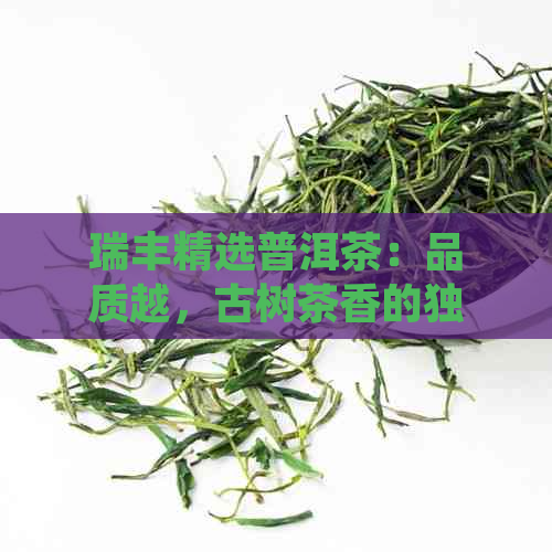 瑞丰精选普洱茶：品质越，古树茶香的独特魅力