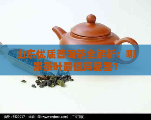 山东优质普洱茶全解析：哪家茶叶最值得品鉴？