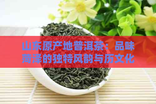 山东原产地普洱茶：品味菏泽的独特风韵与历文化