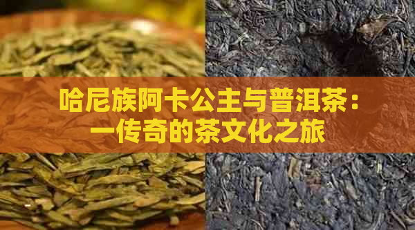 哈尼族阿卡公主与普洱茶：一传奇的茶文化之旅