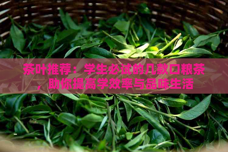 茶叶推荐：学生必试的几款口粮茶，助你提高学效率与品味生活