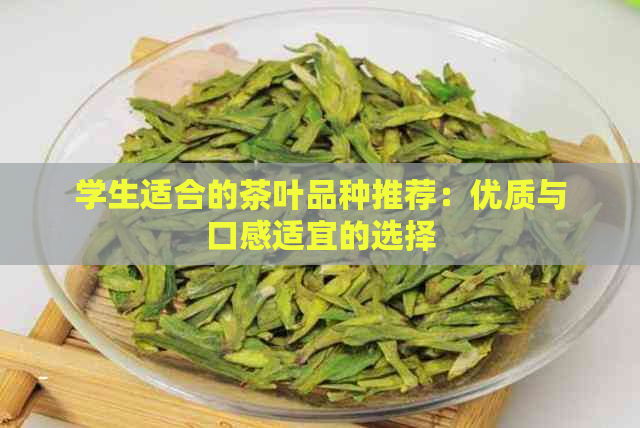 学生适合的茶叶品种推荐：优质与口感适宜的选择