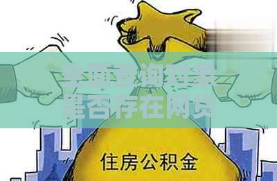 全面查询对象是否存在网贷逾期的软件工具及如何使用