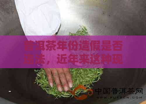 普洱茶年份造假是否违法，近年来这种现象是否普遍存在？