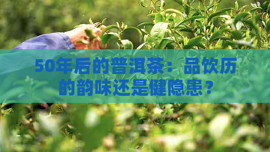 50年后的普洱茶：品饮历的韵味还是健隐患？