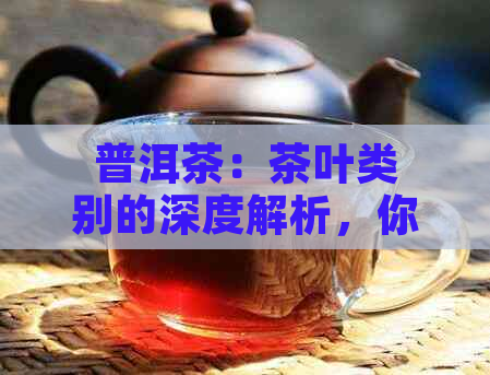 普洱茶：茶叶类别的深度解析，你真的了解吗？