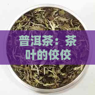 普洱茶：茶叶的佼佼者？为什么它与众不同？