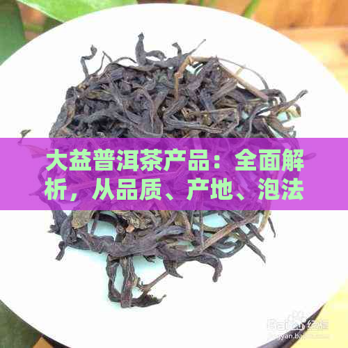 大益普洱茶产品：全面解析，从品质、产地、泡法到功效一应俱全的详细介绍