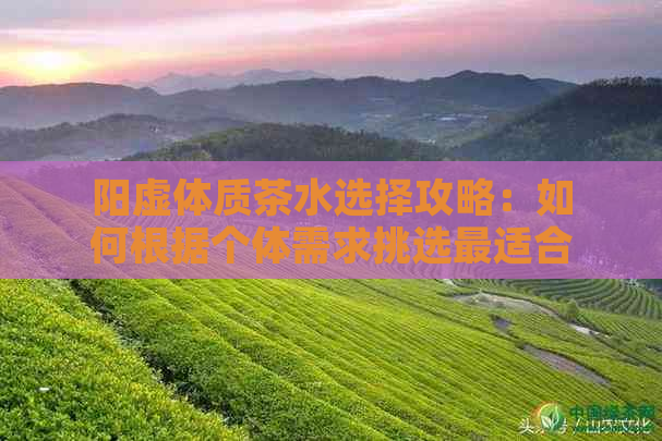 阳虚体质茶水选择攻略：如何根据个体需求挑选最适合的泡茶方法