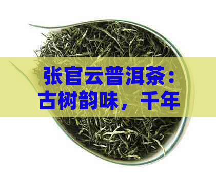 张官云普洱茶：古树韵味，千年传承，品茗养生之道