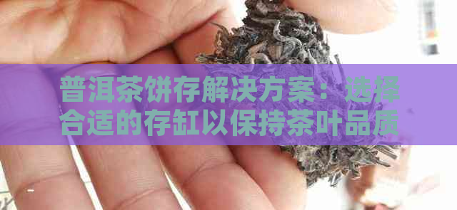 普洱茶饼存解决方案：选择合适的存缸以保持茶叶品质与口感