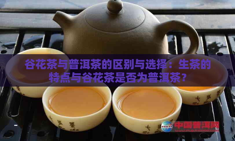 谷花茶与普洱茶的区别与选择：生茶的特点与谷花茶是否为普洱茶？