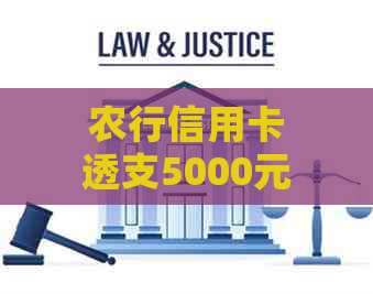 农行信用卡透支5000元，逾期6个月还款，如何解决？