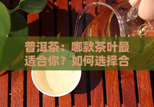 普洱茶：哪款茶叶最适合你？如何选择合适的普洱茶品种