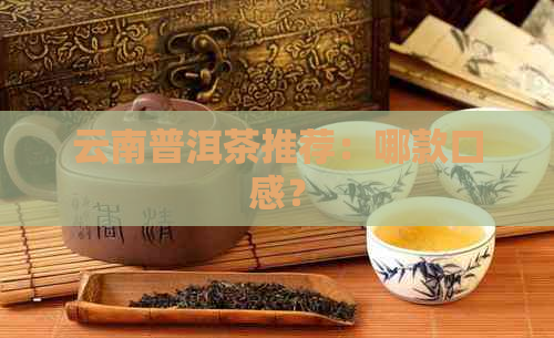 云南普洱茶推荐：哪款口感？