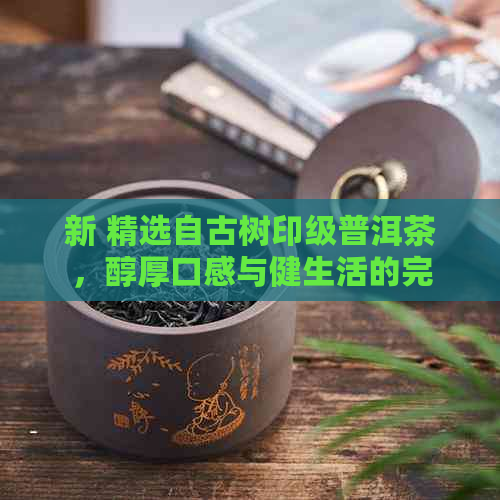 新 精选自古树印级普洱茶，醇厚口感与健生活的完美融合