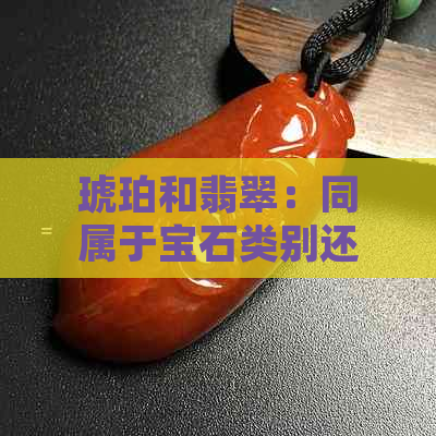 琥珀和翡翠：同属于宝石类别还是独立分类？解答疑惑并比较两种宝石特性。