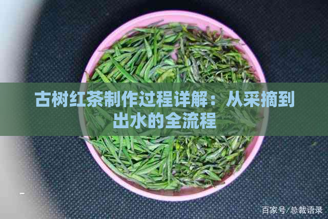 古树红茶制作过程详解：从采摘到出水的全流程