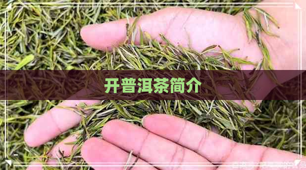 开普洱茶简介