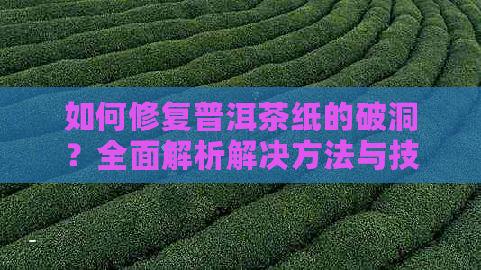 如何修复普洱茶纸的破洞？全面解析解决方法与技巧