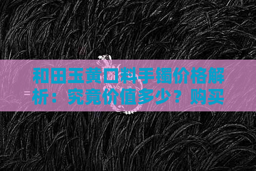 和田玉黄口料手镯价格解析：究竟价值多少？购买时需要注意哪些因素？