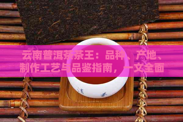 云南普洱茶茶王：品种、产地、制作工艺与品鉴指南，一文全面了解