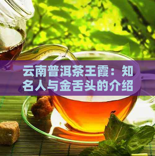 云南普洱茶王霞：知名人与金舌头的介绍与个人资料