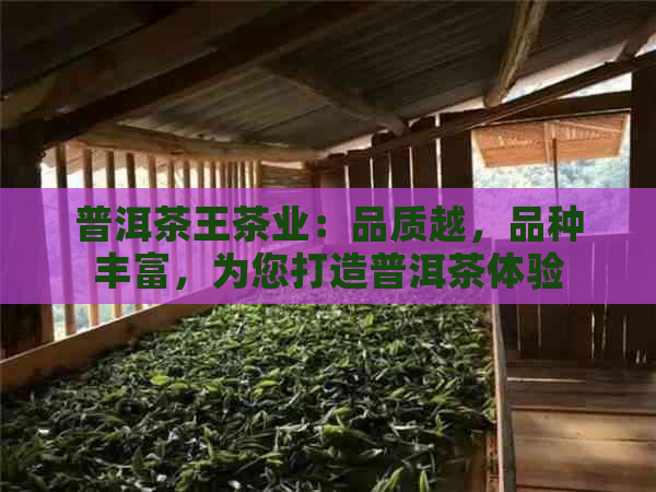 普洱茶王茶业：品质越，品种丰富，为您打造普洱茶体验