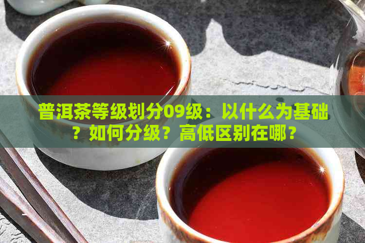 普洱茶等级划分09级：以什么为基础？如何分级？高低区别在哪？