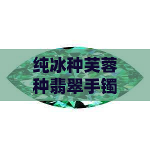 纯冰种芙蓉种翡翠手镯：价值解析与市场行情