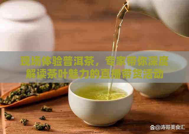 现场体验普洱茶，专家带你深度解读茶叶魅力的直播带货活动