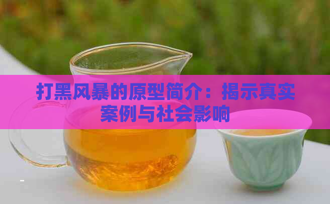 打黑风暴的原型简介：揭示真实案例与社会影响