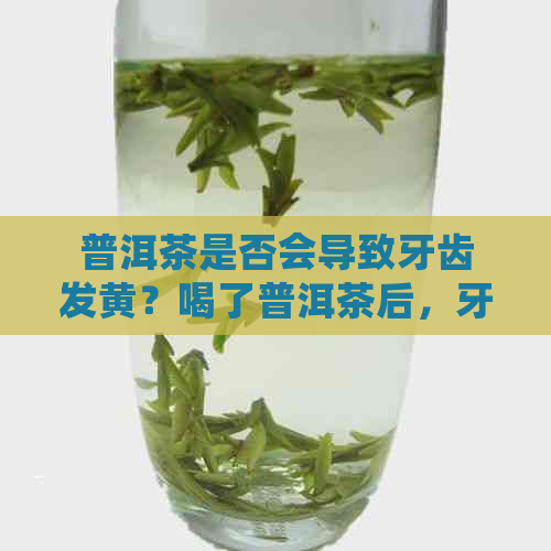 普洱茶是否会导致牙齿发黄？喝了普洱茶后，牙齿会变成茶色吗？