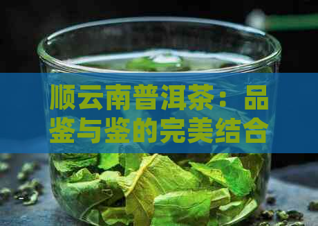 顺云南普洱茶：品鉴与鉴的完美结合，感受普洱茶的独特魅力