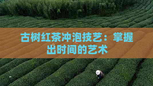 古树红茶冲泡技艺：掌握出时间的艺术