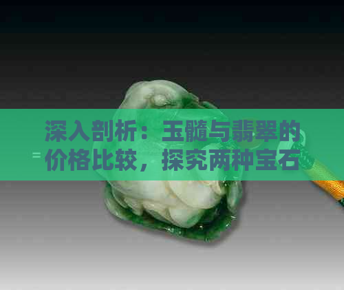 深入剖析：玉髓与翡翠的价格比较，探究两种宝石的独特之处