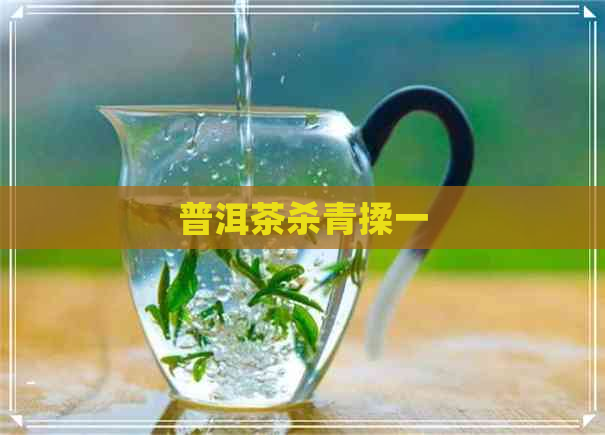 普洱茶杀青揉一