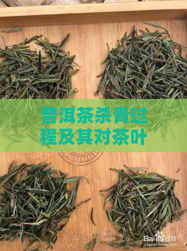 普洱茶杀青过程及其对茶叶品质的影响