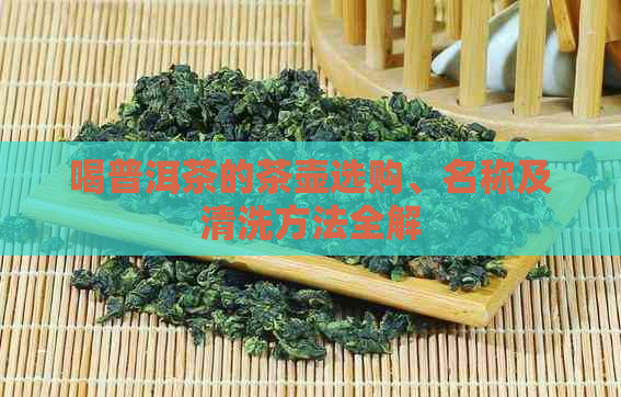 喝普洱茶的茶壶选购、名称及清洗方法全解