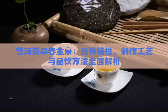 普洱茶早春金豪：品种特性、制作工艺与品饮方法全面解析