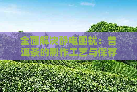 全面解决静电困扰：普洱茶的制作工艺与保存方法