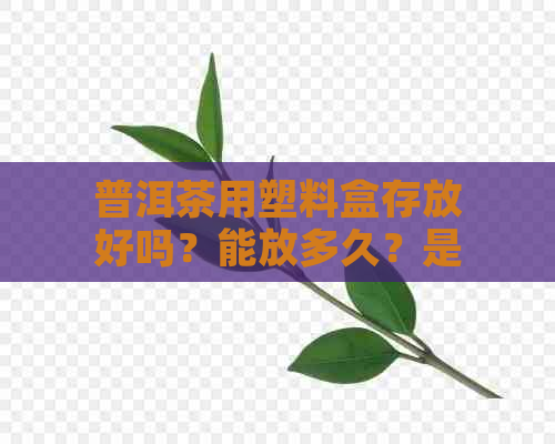 普洱茶用塑料盒存放好吗？能放多久？是否有害？怎么收藏？