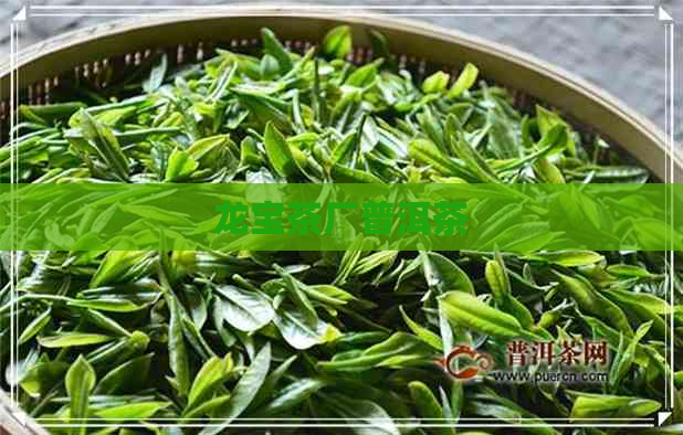 龙宝茶厂普洱茶