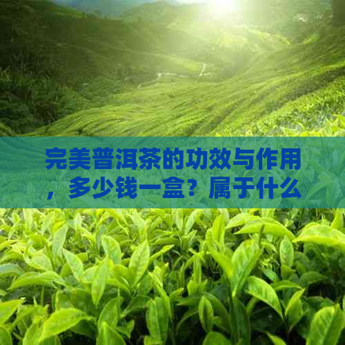 完美普洱茶的功效与作用，多少钱一盒？属于什么茶？